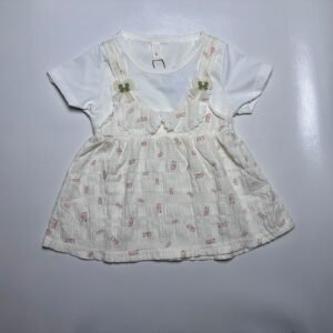 Baby Girl Floral Layered Frock